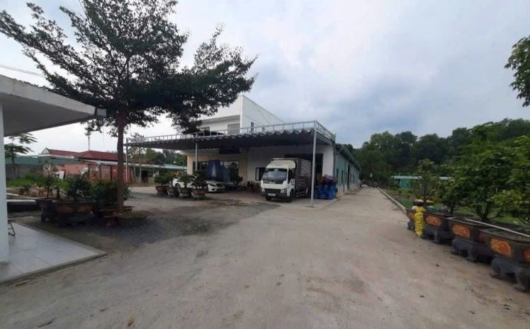 Bán đất mặt tiền thanh niên  hóc môn  4.000m² chỉ 10trm² 6665048