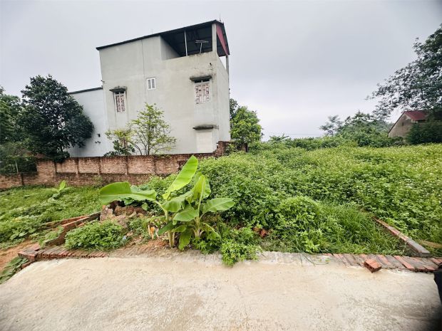 Bán đất sơn đoài-tân minh cũ nay là xã sóc sơn đường thông 6665447