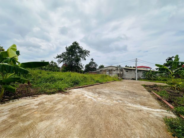 Bán đất sơn đoài-tân minh cũ nay là xã sóc sơn đường thông 6665448