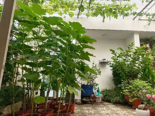 Nhà mới trường thọ - 54m2 - 4 tầng, đường xe  tải - giá 7.9ỷ 6667256