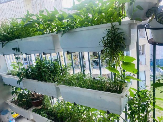 Căn hộ view đẹp- giá tốt cần bán nhanh chính chủ cần bán 6668069