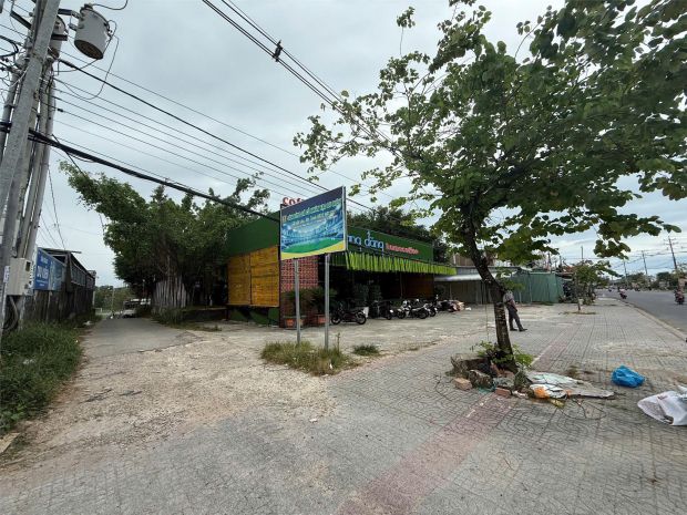 Bán đất vườn cổ thụ, 1100m² mặt tiền nguyễn chí thanh, 6668845