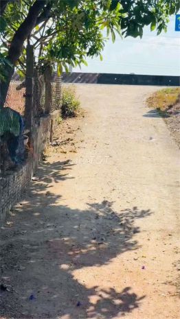 Đất đẹp - giá rẻ - hạ giá bán nhanh lô đất cát hanh, phù 6669718