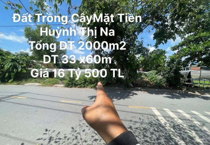 Đất nguyễn thị na đông thạnh hóc môn hồ chí minh 1973m2 có 6670679