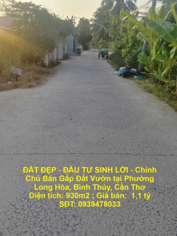 Đất đẹp - đầu tư sinh lời - chính chủ bán gấp đất vườn tại 6670692
