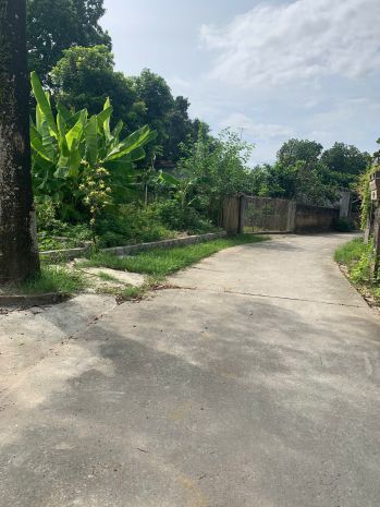 Cc cần bán 110m full đường 2  ô tô tránh thông xã xuân mai 6672589