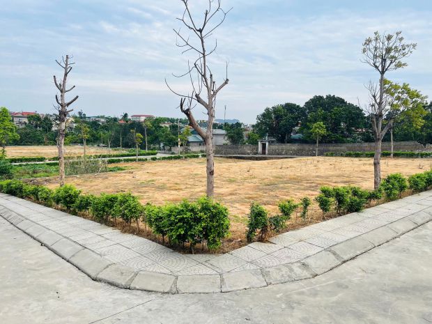 Bùng nổ lợi nhuận với bđs khu kinh tế mới phường mạo khê - 6672708