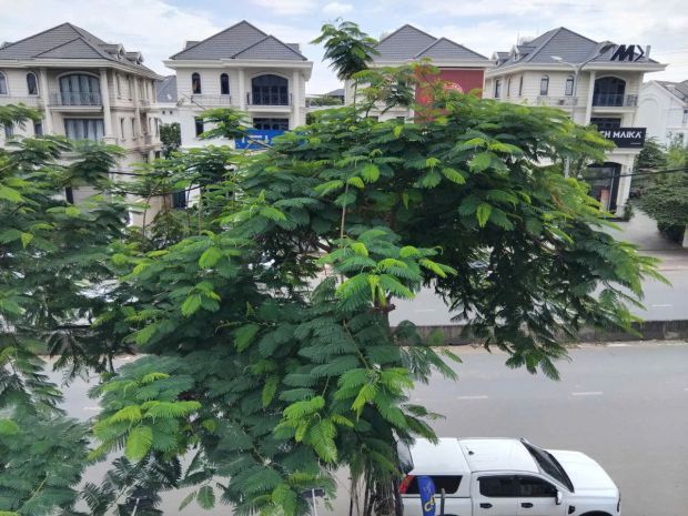 Giảm 1 tỷ bán nhà mặt tiền đường liên phường, khu merita kđ 6673746
