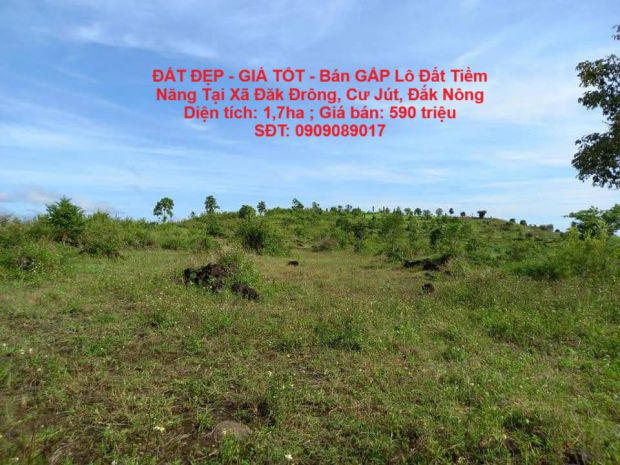 Đất đẹp - giá tốt - bán gấp lô đất tiềm năng tại xã đăk 6673940