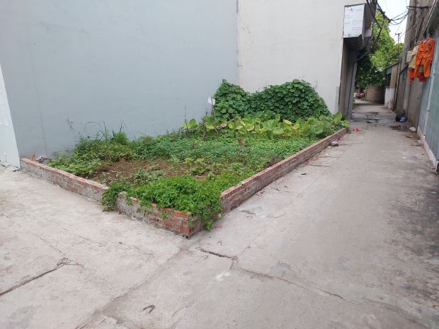 Cắt lỗ  đất đấu giá ao ngòi  đức thượng 6676197