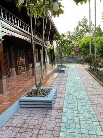 Có 2 lô đất cần cho thuê tại đường tạo lực, tân hiệp, tân 6676260