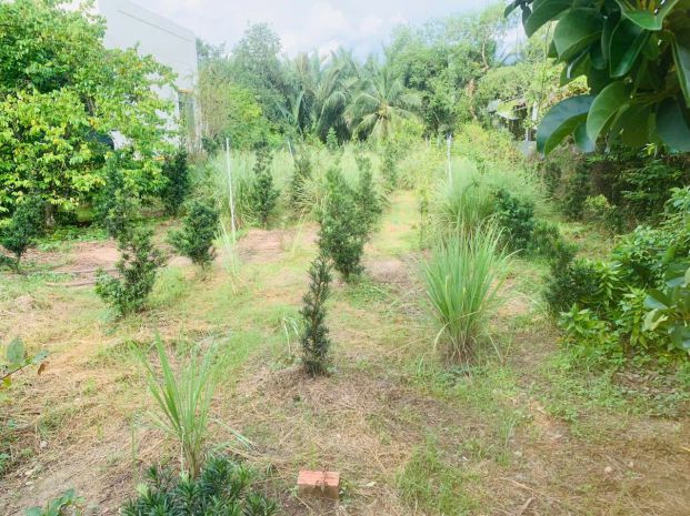 Chính chủ cần bán nhà - đất có vị trí đẹp  tại thị trấn 6677215