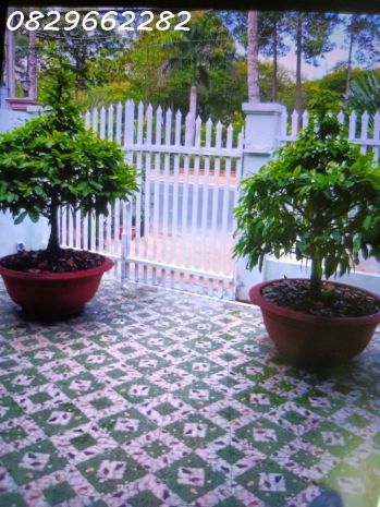 Bán nhà mặt phố đường tôn đức thắng sa đéc- lá phổi xanh 6677300