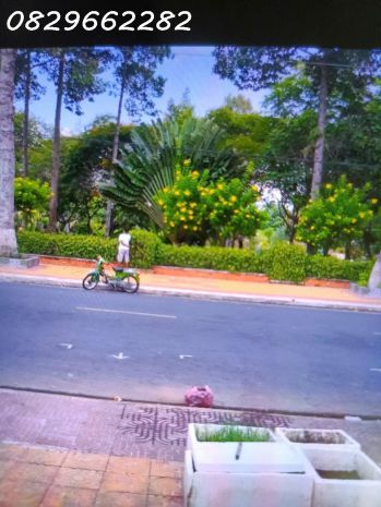 Bán nhà mặt phố đường tôn đức thắng sa đéc- lá phổi xanh 6677301