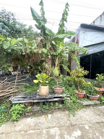 Bán đất trường thọ  xe hơi vào tận nơi  163m² full thổ 6677387