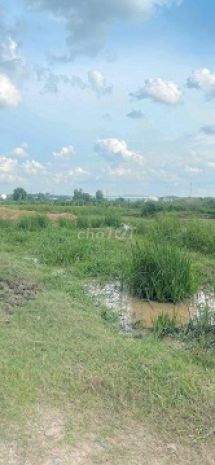Bán đất sổ đỏ 938,7m² - đường bùi thị xuân, phường tân 6681441