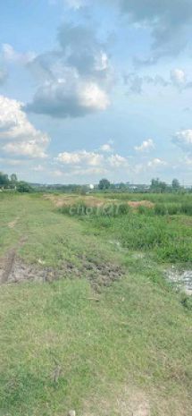 Bán đất sổ đỏ 938,7m² - đường bùi thị xuân, phường tân 6681442