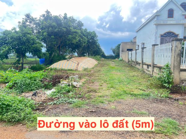 Lô đất vị trí đẹp  đầu tư là sinh lời cần bán nhanh lô đất 6682657