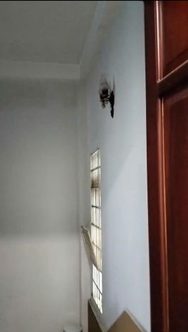 Còn 1 phòng trọ đẹp  gò vấp  thoáng mát, sạch sẽ  giá tốt 6688242