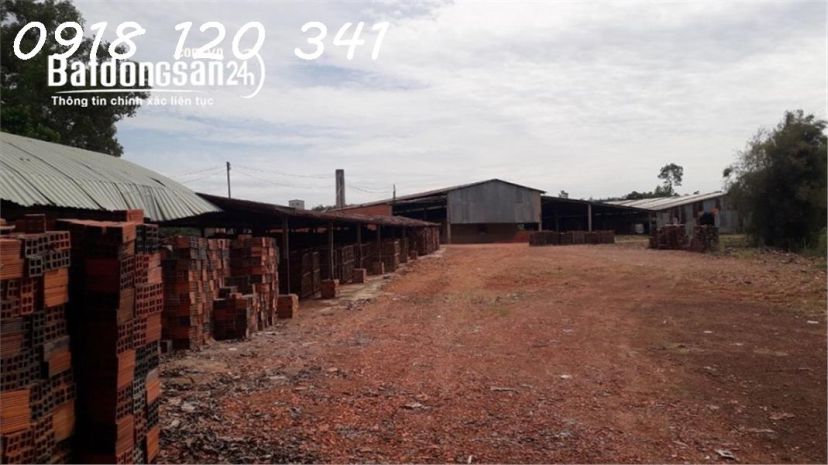 Bán nhà máy gạch công nghệ hoffman- phước vinh -tây ninh 6692767