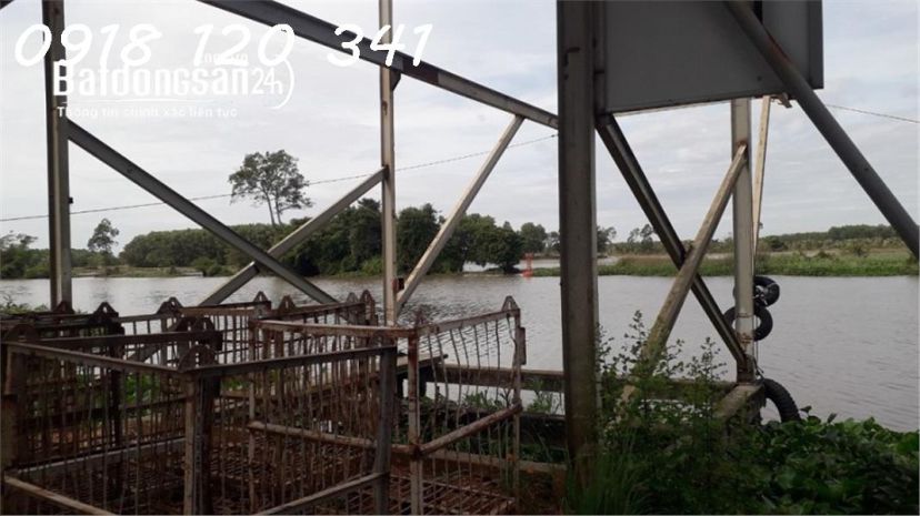 Bán nhà máy gạch công nghệ hoffman- phước vinh -tây ninh 6692769