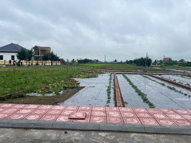 Đất nền thị trấn quất lâm, huyện giao thủy 2.5 tỷ  100m² 6694105