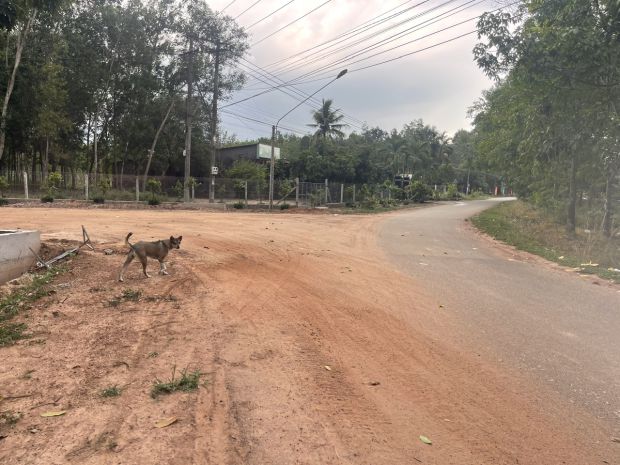 Kinh doanh thua lỗ cần bán gấp 506m2, giá 300 triệu, sổ hồng 6696270