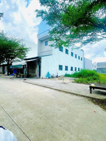 Đầu tư sinh lời  lô đất 130m² kdc tân đô, đức hòa  1,95 tỷ 6696999