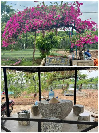 Giá tốt - chính chủ cần chuyển nhượng mảnh đất tâm huyết ở 6700116