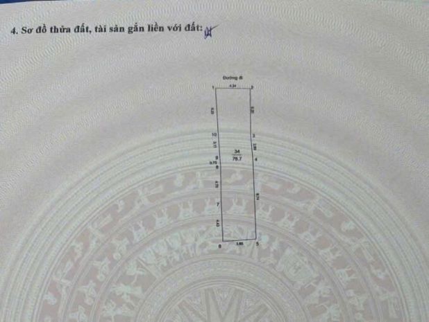 Căn nhà xây được ccmn rất tốt 6704182