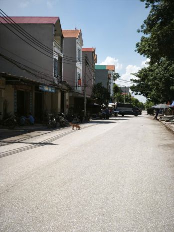 Bán đất thuận thành, bắc ninh. 110m2 * mt 4,5m * 4,85 tỷ. ô 6706416