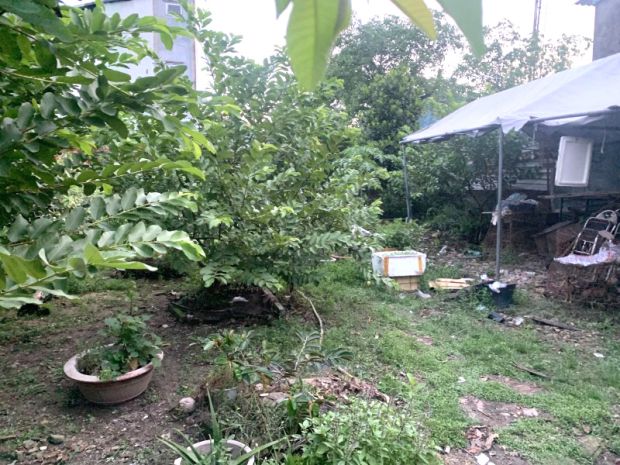 Bán gấp nhà 657m² full thổ  ngang 12m  hẻm xe hơi - chỉ 6707241