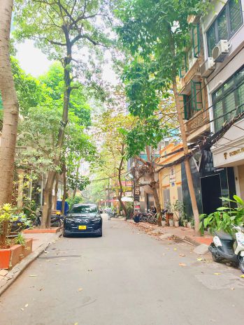 Mặt ngõ ô tô, gần hồ phố trần quang diệu 53m² x 5t x mt 6708290