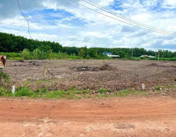 490 triệu  bán gấp 2000m² đất gần đường 65m 6709543