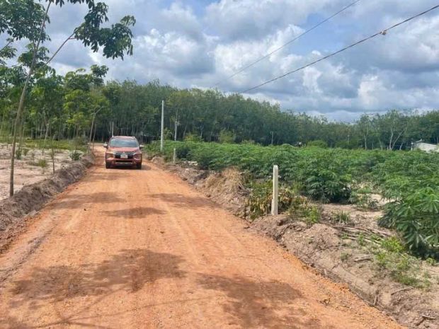 490 triệu  bán gấp 2000m² đất gần đường 65m 6709545