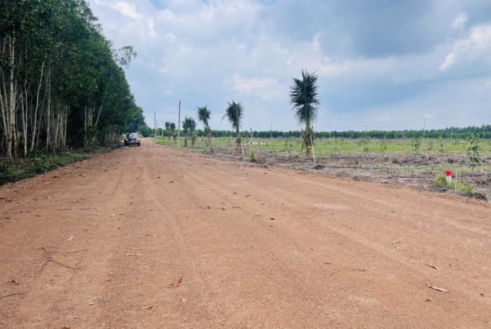 250 triệu  1000m² đất ngay đường xuyên tâm đồng phú 6709625