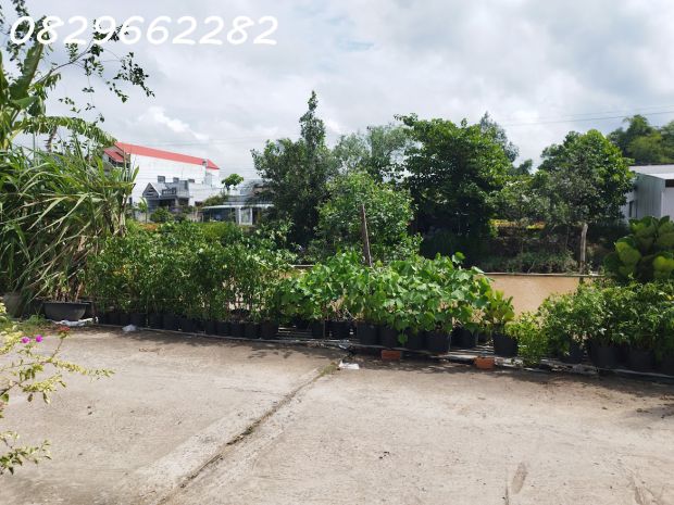 Bán đất thổ cư phạm hồng thái, sa đéc. 308m2, sổ hồng. giá 6710908