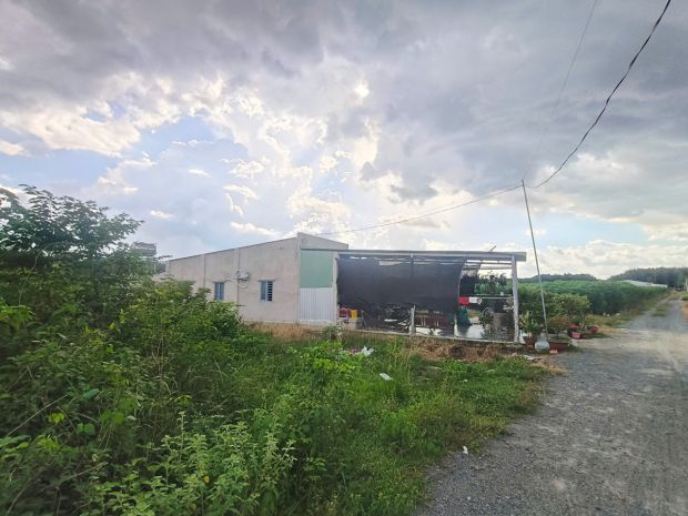 Đất vuông hxt 125m2 55m2 ont  kênh đông tn 6711089
