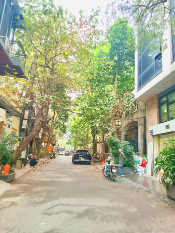 Ô tô tránh, mặt ngõ kinh doanh phố trần quang diệu 54m² x 6711534