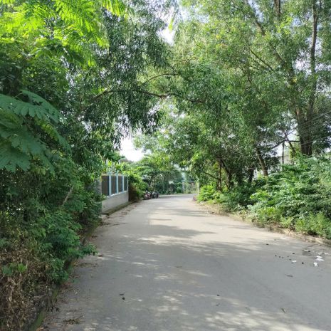 Bán lô đất  tân bình, dĩ an 230m² chỉ nhỉnh 2 tỷ 6713885