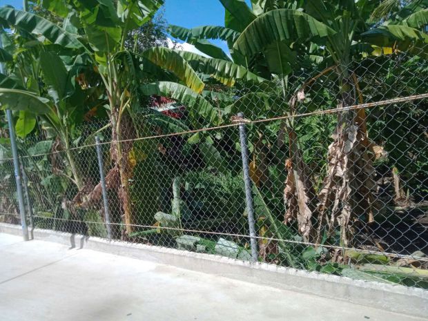 Bán gấp lô đất khu phố bình hòa, phường bình nhâm, tx thuận 6714970