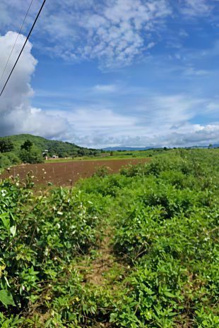 Bán lô đất đẹp  vị trí trung tâm đức trọng  giá đầu tư 6715042