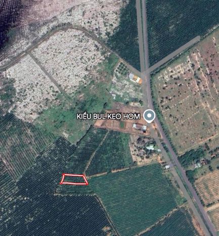 Khả năng dự án vàng: 1033m2 đất thổ cư quốc lộ 55, hàm tân 6715829