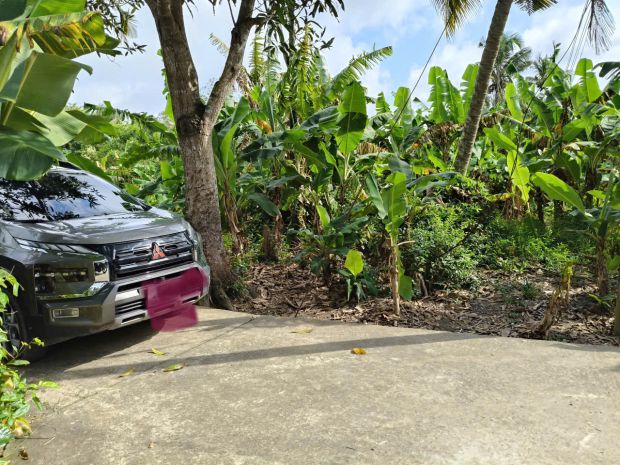 Bán gấp lô đất 2.460m² full thổ  đường ô tô  sổ riêng 6718763