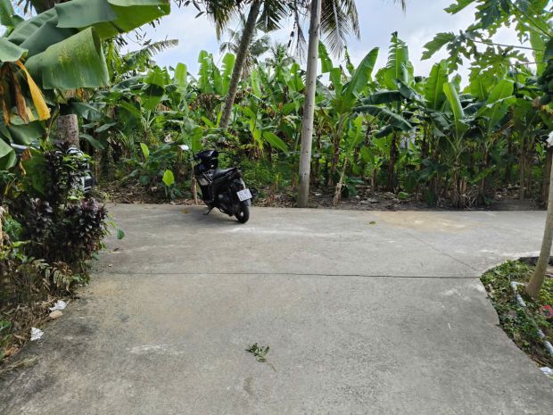 Bán gấp lô đất 2.460m² full thổ  đường ô tô  sổ riêng 6718764