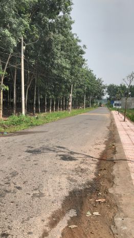 Bán mặt tiền nhựa liên ấp, gần ngã tư gia vĩnh, an viễn, 6719129