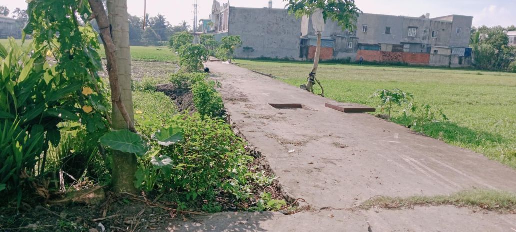 Củ chi: sở hữu ngay 1955m² đất ful thổ cư 32 x60  đường 6719996