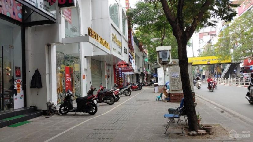 Siêu hiếm  mặt phố thái hà  77m²  5 tầng  sổ vuông 6726267