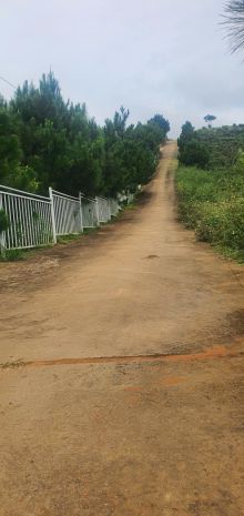 Cần bán đất 2 mặt tiền , lộc thành 6726931