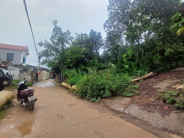 Chính chủ cần bán lô đất 470 tại tiên phương-chương mỹ-hà 6728236